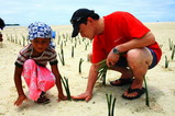 島の子供とマングローブを植える