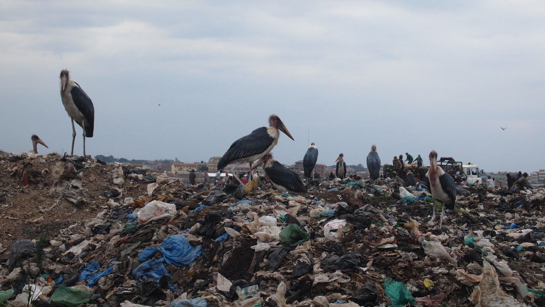 ナイロビのゴミ最終処分所の視察～JICAの取り組み・100パーセントのゴミ回収率を目指して～