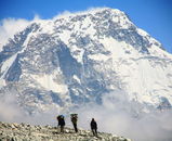 荷を運ぶポーター