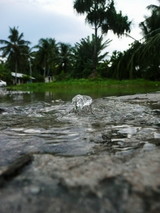 このように勢いよく大潮が噴き出している処もある