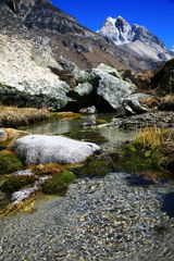 澄んだ川に癒される