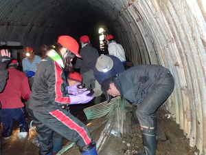 ヘドロにトタン屋根が埋まっていました