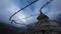 �G�x���X�g������ʐ^�W