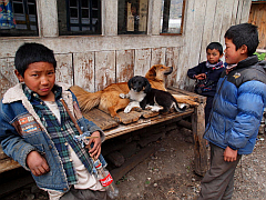 �G�x���X�g������ʐ^�W