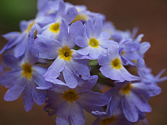 �G�x���X�g������ʐ^�W