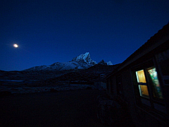 �G�x���X�g������ʐ^�W