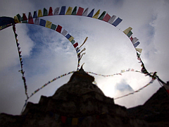 �G�x���X�g������ʐ^�W