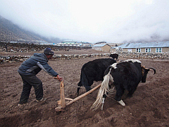 �G�x���X�g������ʐ^�W