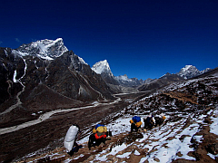 �G�x���X�g������ʐ^�W