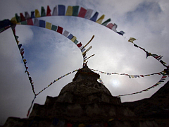 �G�x���X�g������ʐ^�W