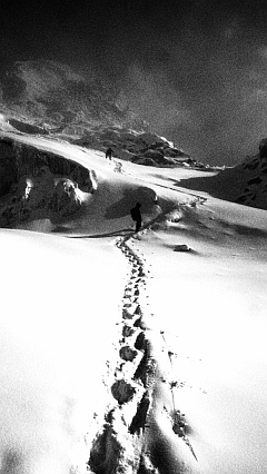 �G�x���X�g������ʐ^�W