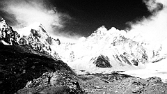 �G�x���X�g������ʐ^�W