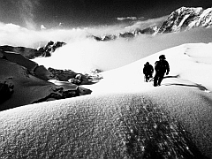 �G�x���X�g������ʐ^�W