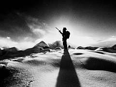 �G�x���X�g������ʐ^�W