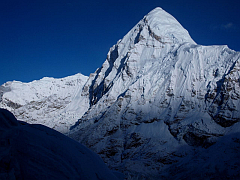 �G�x���X�g������ʐ^�W