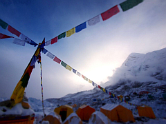 �G�x���X�g������ʐ^�W