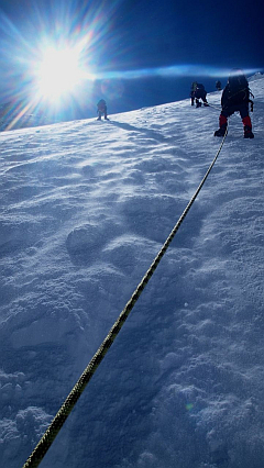 �G�x���X�g������ʐ^�W