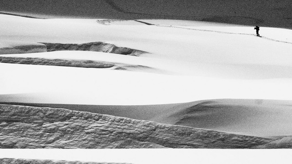 �G�x���X�g������ʐ^�W