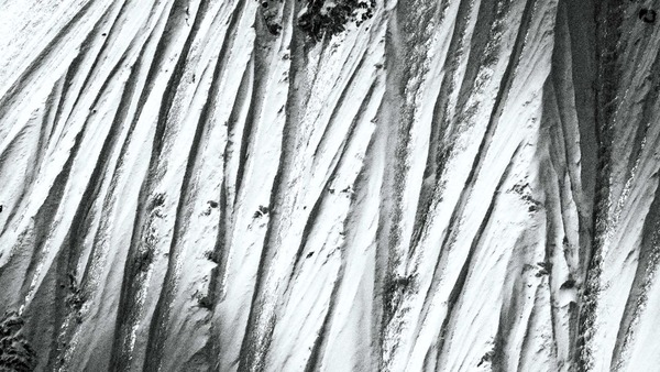 �G�x���X�g������ʐ^�W