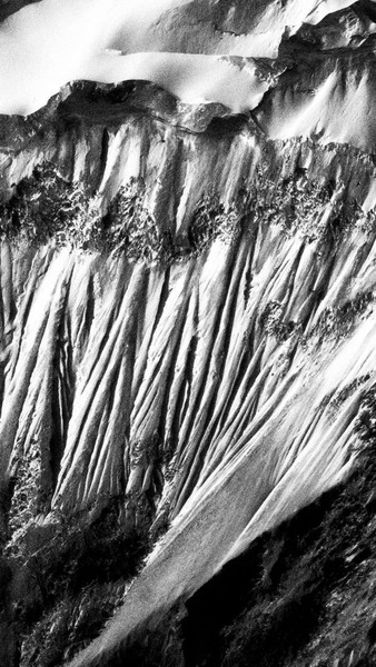 �G�x���X�g������ʐ^�W